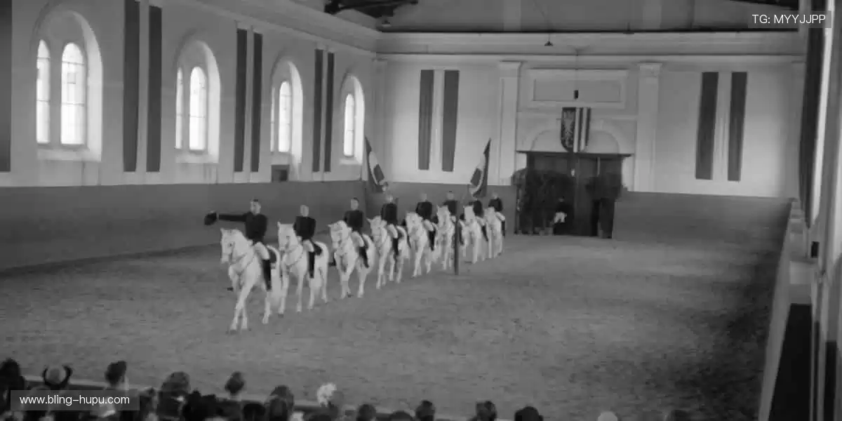 🎁 周边好物，把赛场带回家！